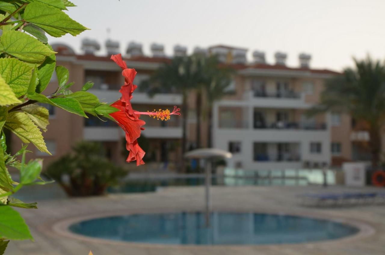Iris Village Paphos Ngoại thất bức ảnh